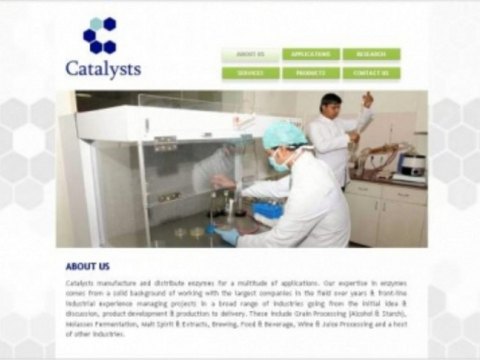 Catalysts Group